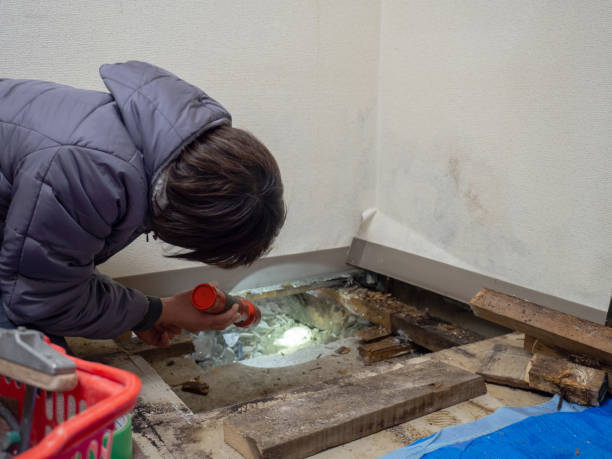Best Air Quality Testing for Mold Spores  in Devens, MA