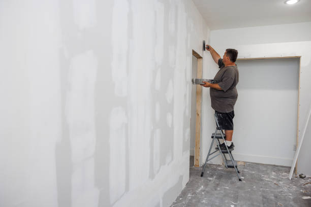 Best Mold Odor Removal Services  in Devens, MA