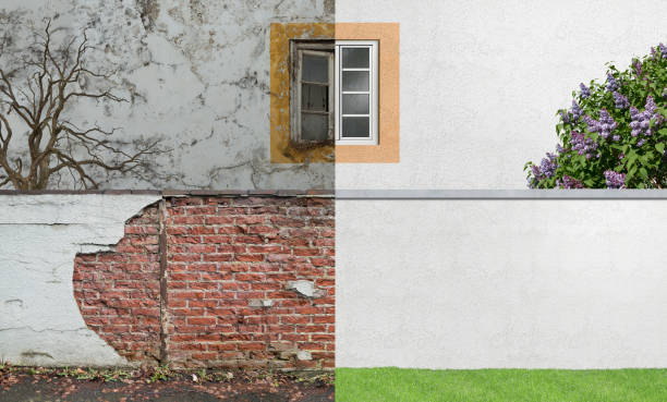 Best Mold Documentation for Insurance Claims  in Devens, MA